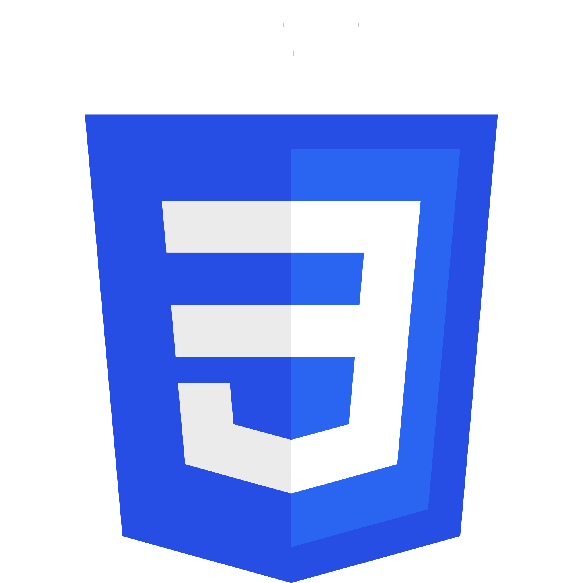 CSS-3 Logo